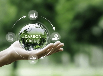 Tín chỉ carbon – Cơ hội thúc đẩy phát triển xanh cho doanh nghiệp Việt