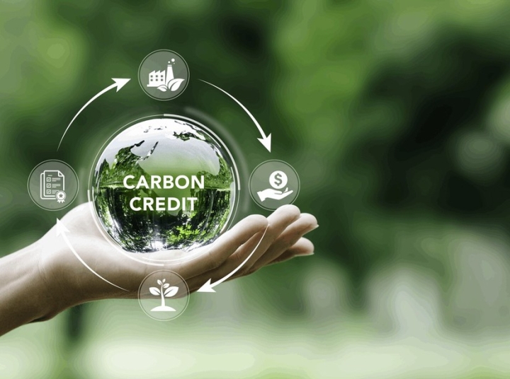 /media/carbon-credit-5899.jpeg