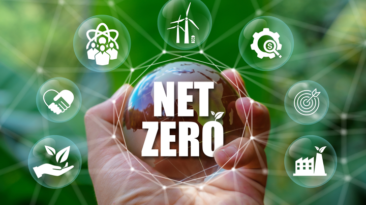 /media/net-zero-la-gi-2.png